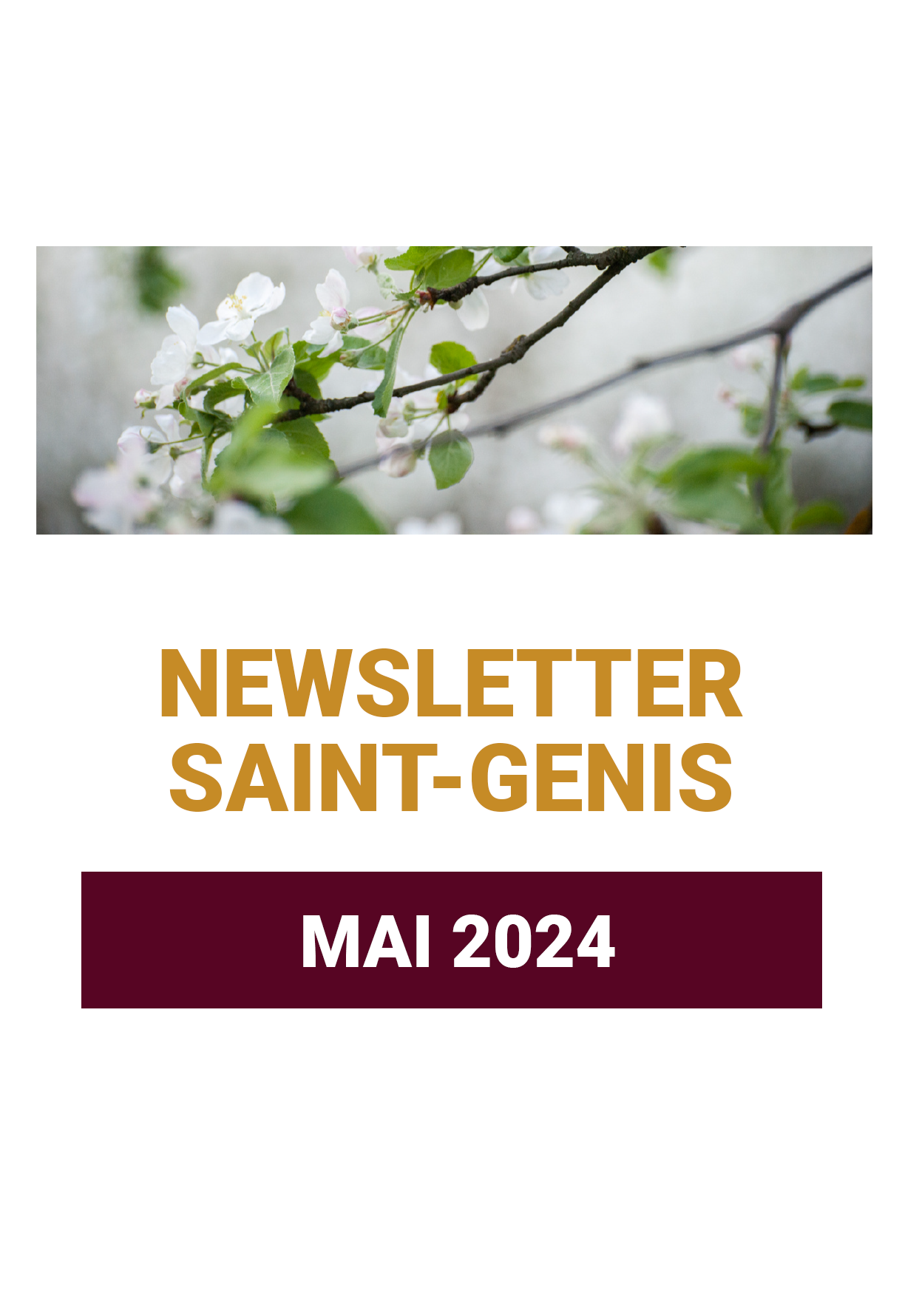 Information newsletter Mai 2024