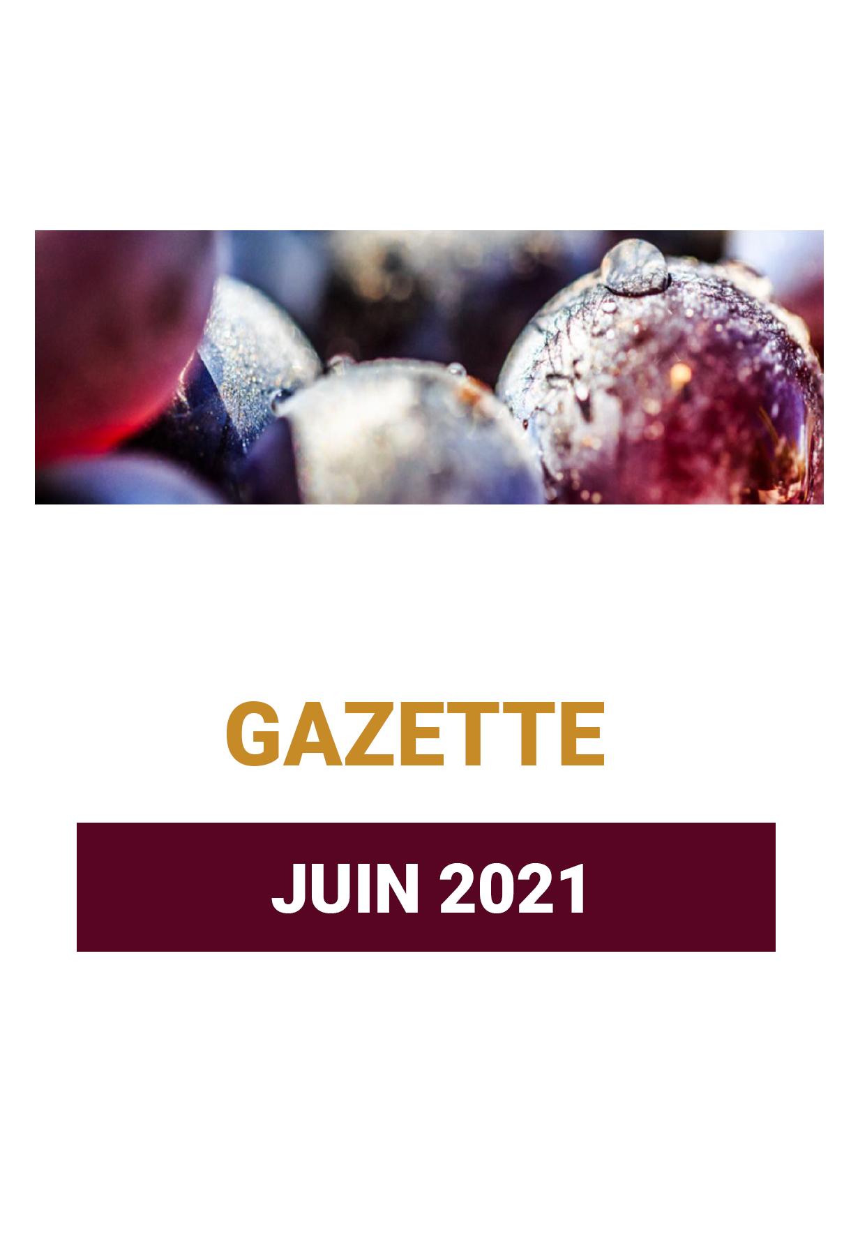 Gazette JUIN 2021
